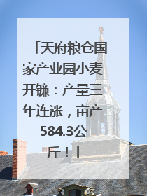 天府粮仓国家产业园小麦开镰：产量三年连涨，亩产584.3公斤！