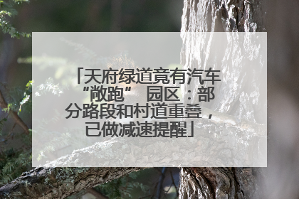 天府绿道竟有汽车“敞跑” 园区：部分路段和村道重叠，已做减速提醒