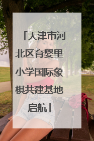 天津市河北区育婴里小学国际象棋共建基地启航