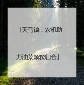 天马镇：农机助力油菜颗粒归仓