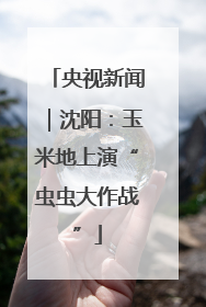 央视新闻｜沈阳：玉米地上演“虫虫大作战”