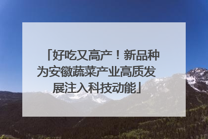 好吃又高产！新品种为安徽蔬菜产业高质发展注入科技动能