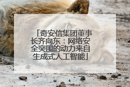 奇安信集团董事长齐向东：网络安全突围的动力来自生成式人工智能