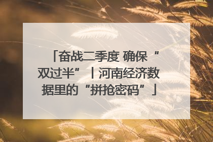 奋战二季度 确保“双过半”丨河南经济数据里的“拼抢密码”
