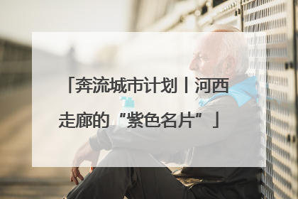 奔流城市计划丨河西走廊的“紫色名片”