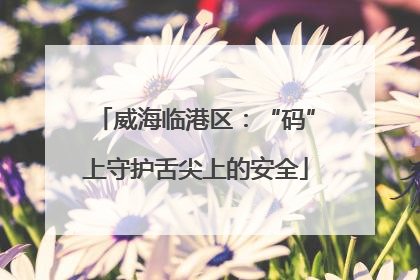 威海临港区：“码”上守护舌尖上的安全