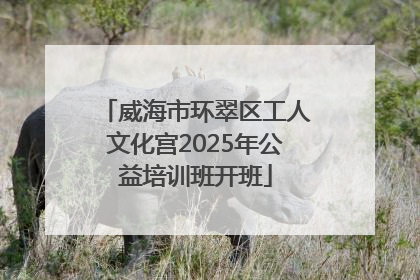 威海市环翠区工人文化宫2025年公益培训班开班