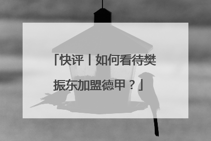 快评丨如何看待樊振东加盟德甲？