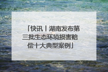 快讯丨湖南发布第三批生态环境损害赔偿十大典型案例