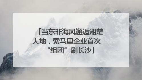 当东非海风邂逅湘楚大地，索马里企业首次“组团”刷长沙