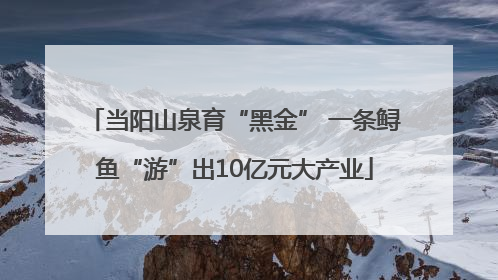 当阳山泉育“黑金” 一条鲟鱼“游”出10亿元大产业