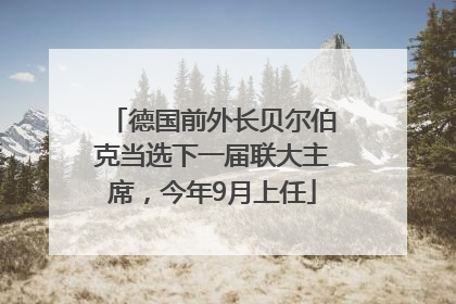 德国前外长贝尔伯克当选下一届联大主席，今年9月上任
