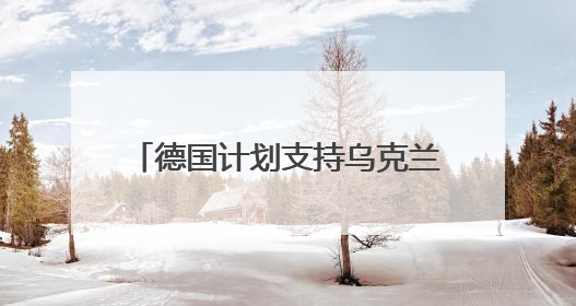 德国计划支持乌克兰生产远程武器 还将提供50亿欧元军援