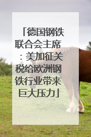 德国钢铁联合会主席：美加征关税给欧洲钢铁行业带来巨大压力