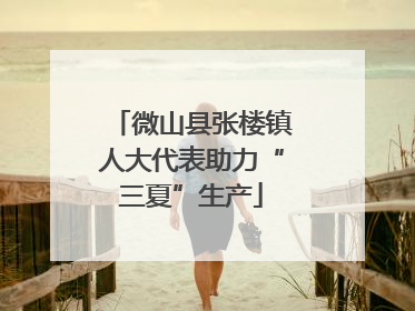 微山县张楼镇人大代表助力“三夏”生产
