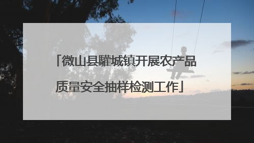 微山县驩城镇开展农产品质量安全抽样检测工作