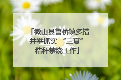 微山县鲁桥镇多措并举抓实 “三夏” 秸秆禁烧工作