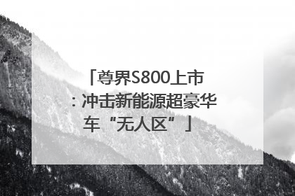尊界S800上市：冲击新能源超豪华车“无人区”