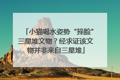 小猫喝水姿势“撞脸”三星堆文物？经求证该文物并非来自三星堆
