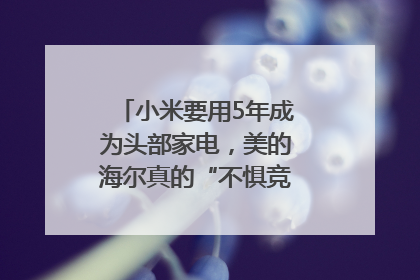小米要用5年成为头部家电，美的海尔真的“不惧竞争”？｜热财经