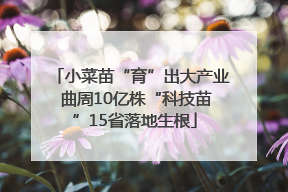 小菜苗“育”出大产业 曲周10亿株“科技苗”15省落地生根