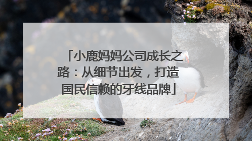 小鹿妈妈公司成长之路：从细节出发，打造国民信赖的牙线品牌