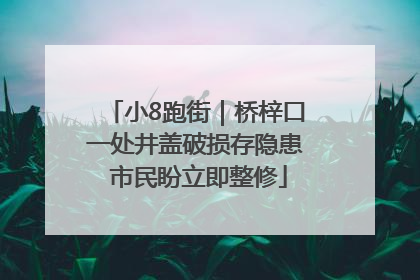 小8跑街｜桥梓口一处井盖破损存隐患 市民盼立即整修