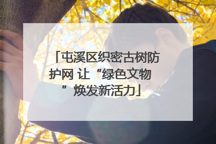 屯溪区织密古树防护网 让“绿色文物”焕发新活力