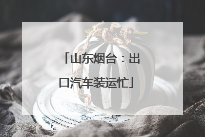山东烟台：出口汽车装运忙