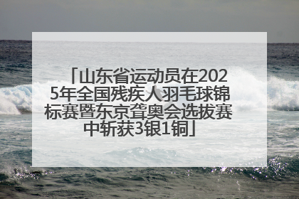 山东省运动员在2025年全国残疾人羽毛球锦标赛暨东京聋奥会选拔赛中斩获3银1铜