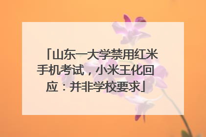 山东一大学禁用红米手机考试，小米王化回应：并非学校要求