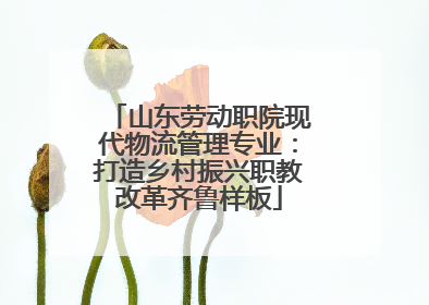 山东劳动职院现代物流管理专业：打造乡村振兴职教改革齐鲁样板