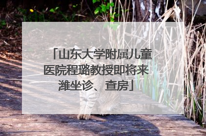 山东大学附属儿童医院程璐教授即将来潍坐诊、查房
