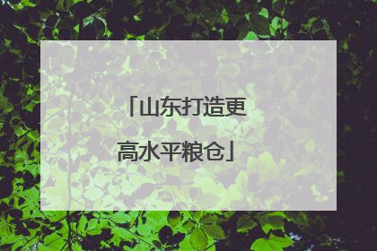 山东打造更高水平粮仓
