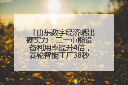 山东数字经济晒出硬实力：三一重能设备利用率提升4倍，赛轮智能工厂38秒生产一条轮胎