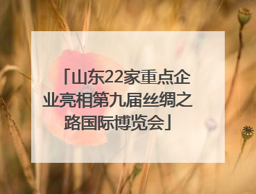 山东22家重点企业亮相第九届丝绸之路国际博览会
