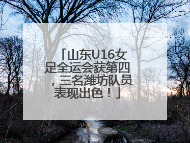 山东U16女足全运会获第四，三名潍坊队员表现出色！