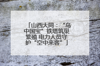 山西大同：“鸟中国宝”铁塔筑巢繁殖 电力人员守护“空中来客”