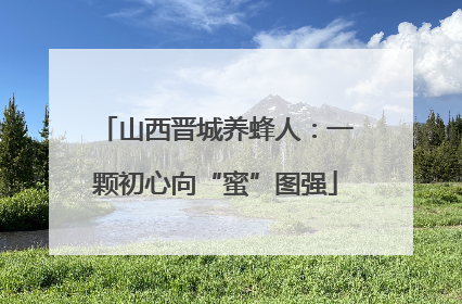 山西晋城养蜂人：一颗初心向“蜜”图强