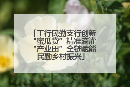 工行民勤支行创新“蜜瓜贷”精准滴灌“产业田”全链赋能民勤乡村振兴