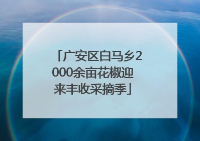 广安区白马乡2000余亩花椒迎来丰收采摘季