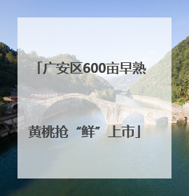 广安区600亩早熟黄桃抢“鲜”上市
