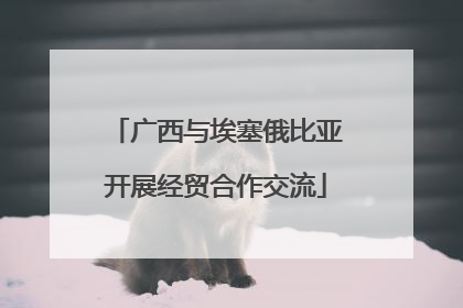 广西与埃塞俄比亚开展经贸合作交流