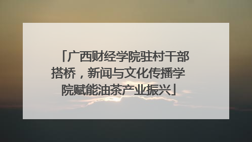 广西财经学院驻村干部搭桥，新闻与文化传播学院赋能油茶产业振兴