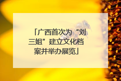 广西首次为“刘三姐”建立文化档案并举办展览