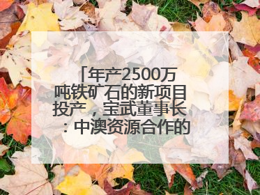 年产2500万吨铁矿石的新项目投产，宝武董事长：中澳资源合作的里程碑