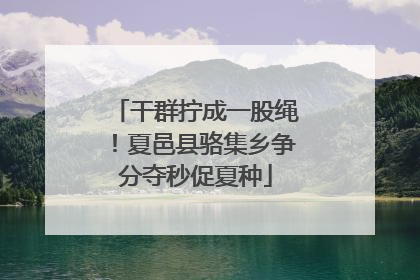 干群拧成一股绳！夏邑县骆集乡争分夺秒促夏种