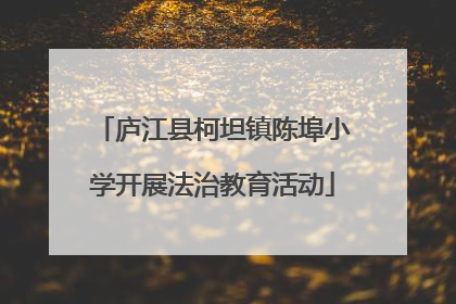 庐江县柯坦镇陈埠小学开展法治教育活动