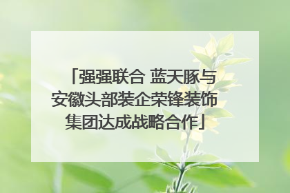 强强联合 蓝天豚与安徽头部装企荣锋装饰集团达成战略合作