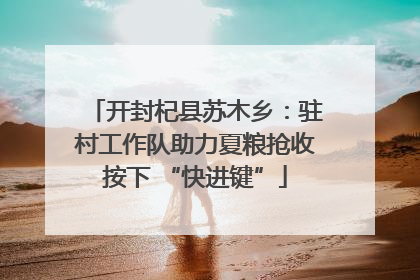 开封杞县苏木乡：驻村工作队助力夏粮抢收按下 “快进键”